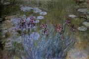 Claude Monet Irises and Water Lillies Norge oil painting reproduction
